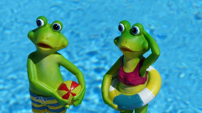 Booking ANCV : comment reserver vos vacances a petit prix