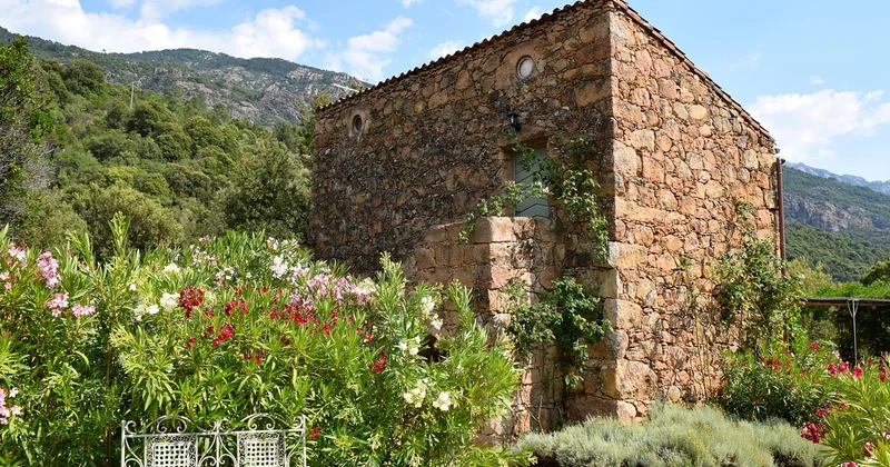 Pourquoi la Corse change la donne (sans tomber dans le mythe)