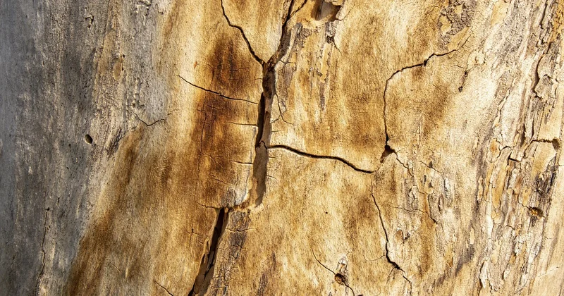 L'inscription sur SYLAé : les étapes que je vous recommande de suivre (dans l'ordre)